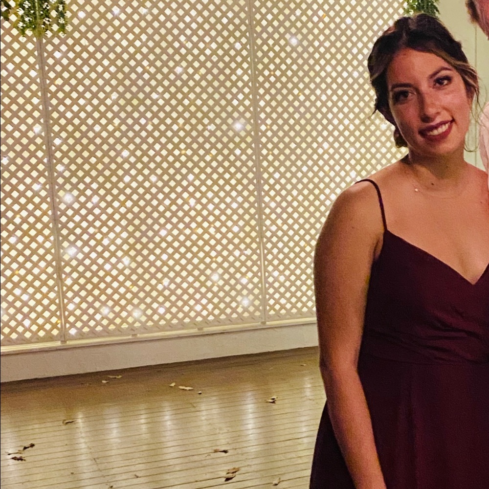 Bill Levkoff dress